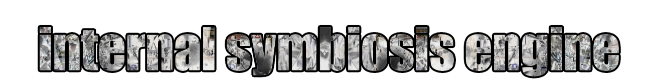 internal symbiosis engine